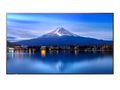 Sharp LCD 50" Professional Large Format Display - PN-P506