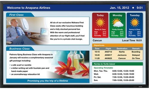 Sharp Professional PN-E802 80" LED LCD Monitor - 16:9 - 6 ms - PN-E802