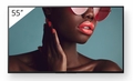 Sony 55" BRAVIA 4K HDR PROFESSIONAL DISPLAY - FW-55BZ40L