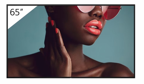 Sony 65" BRAVIA 4K HDR PROFESSIONAL DISPLAY - FW-65BZ40L