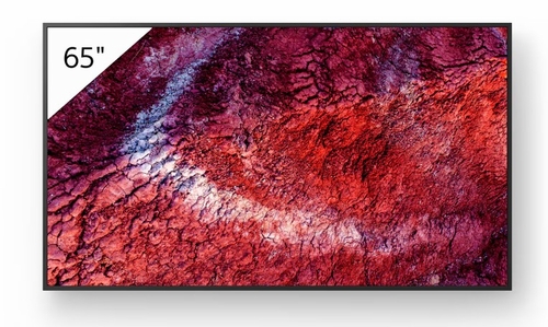 Sony 65" FLAGSHIP Pro BRAVIA w/ IP5X, 5-YR Adv. Replacement, & DBNG Premium - FW-65BZ40P