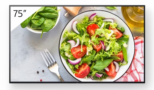 Sony 75" BRAVIA 4K HDR PROFESSIONAL DISPLAY - FW-75BZ35L