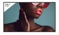 Sony 75" BRAVIA 4K HDR PROFESSIONAL DISPLAY - FW-75BZ40L