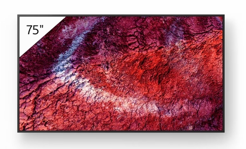 Sony 75" FLAGSHIP Pro BRAVIA w/ IP5X, 5-YR Adv. Replacement, & DBNG Premium - FW-75BZ40P