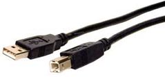 USB and Firewire Cables