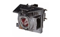 ViewSonic PA503W, PG603W, VS16907, PS501W, PS600W Replacement Projector Lamp - RLC-109