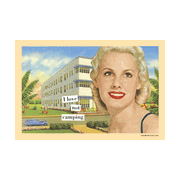 Anne Taintor Magnetic Postcards
