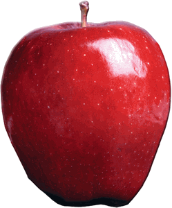 Apple Magnet