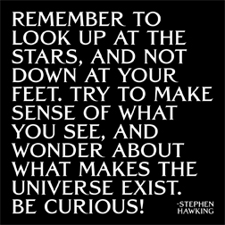 Be Curious Quotable Cards Magnet