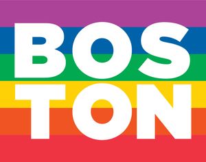 Boston Diversity Flag 11 x 14 Print