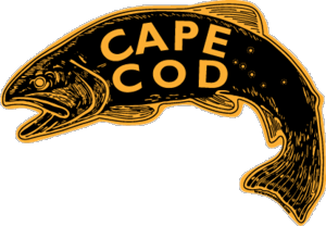 Cape Cod Fish Car Magnet 