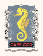 Cape Cod Seahorse 11 x 14 Print