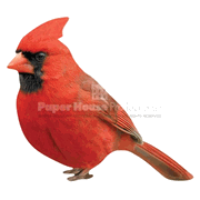 Cardinal Magnet