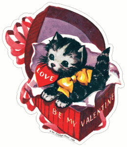 Cat In Valentine's Box Magnet