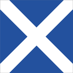 Code Flag Magnet - M