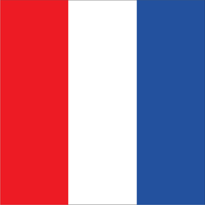 Code Flag Magnet - T