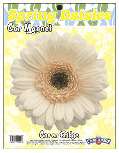 Creamy White Daisy Car Magnet        