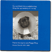 Cure Puggy Wug