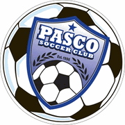 Custom Soccer Ball Car Magnets Custom Soccer Ball Car Magnets