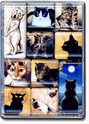 Dog & Cat Mighty Magnets