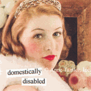 Domestically Disabled Magnet  