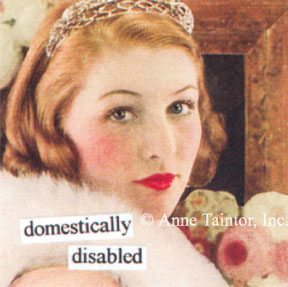 Domestically Disabled Magnet  