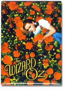 Dorothy in Poppy Field