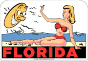 Florida Girl & Sun Travel Decal Car Magnet