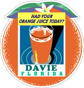 Florida Orange Juice Travel Decal Car Magnet