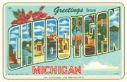 Greetings From Cheboygan MI Car Magnet