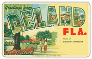 Greetings From Deland FL Car Magnet