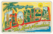 Greetings From Florida Car Magnet