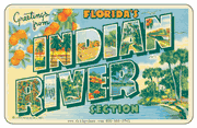 Greetings From Indian River FL Car Magnet