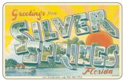 Greetings From Silver Springs FL Car Magnet