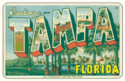 Greetings From Tampa FL Car Magnet