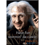Have Fun Stormin' Da Castle Magnet