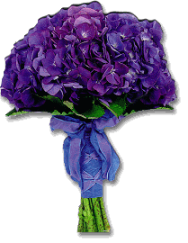 Hydrangea Bouquet Magnet