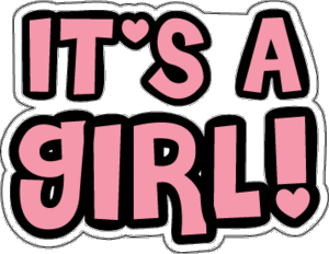 It's A Girl Car Magnet