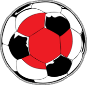 Japan Soccer Ball Car Magnet