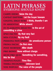 Latin Phrases - Mind Over Magnets Latin Phrases - Mind Over Magnets