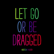 Let Go Or Be Dragged - American Proverb Magnet 