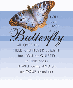Multi Colored Butterfly Wit & Wisdom Magnet