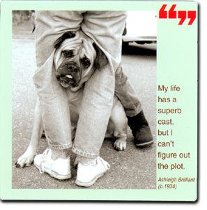 My life has a superb cast