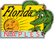 Naples Florida Alligator Travel Decal Magnet   