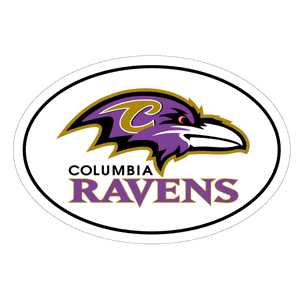 Oval Car Magnets Custom