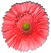 Paper House Productions Flower Magnets Section 2