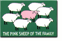 Pink Sheep of the Family