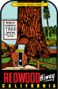 Redwood Highway Travel Decal Magnet   