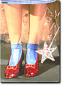 Ruby Slippers & Wand