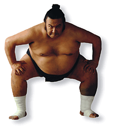 Sumo Wrestler Magnet
